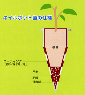 ネイルポット苗の仕様